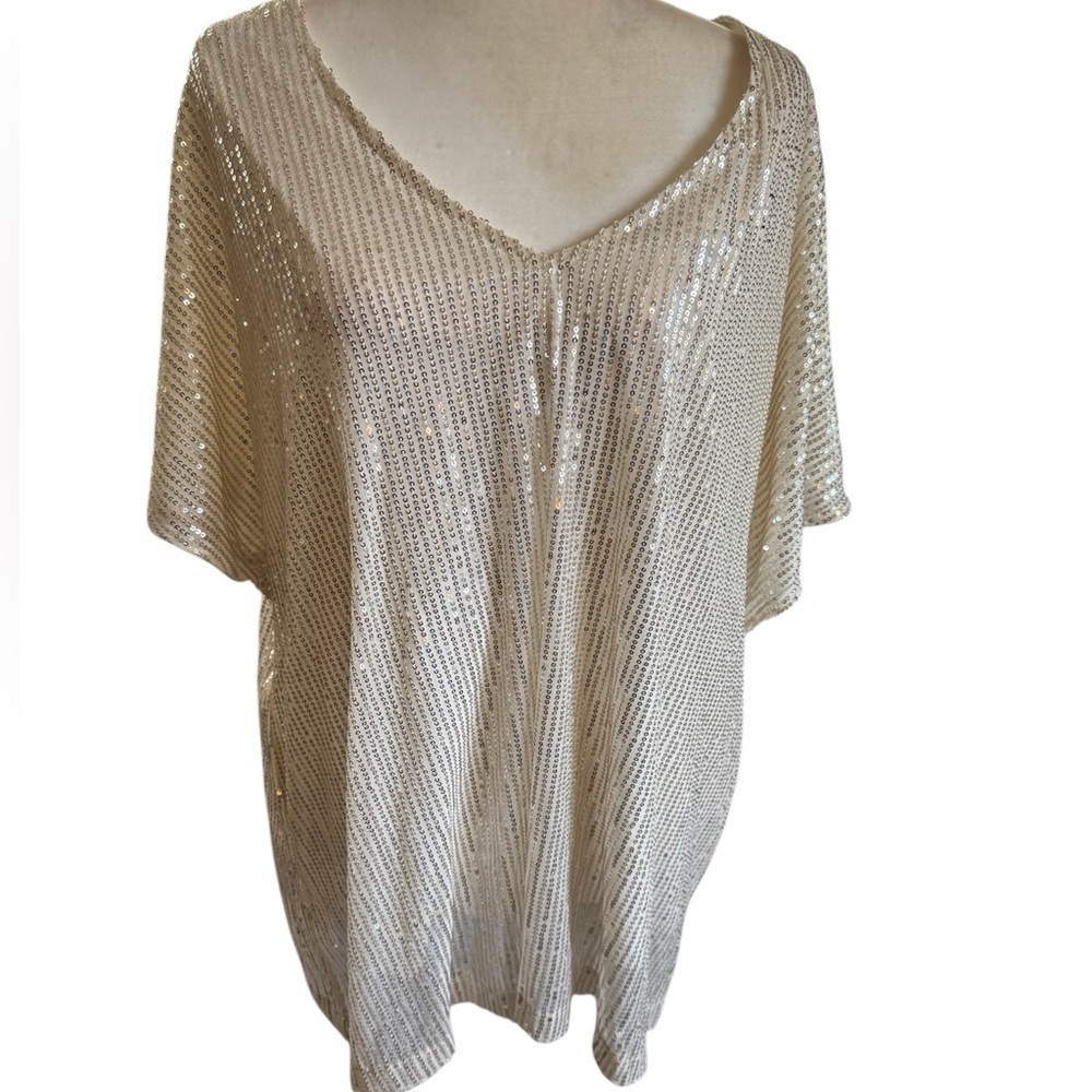 Plus size Shimmering Sequin V-Neck Top - Picture 2 of 6